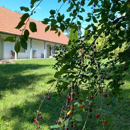 Hidden Gem In The Hills Of Somogy County Holiday home