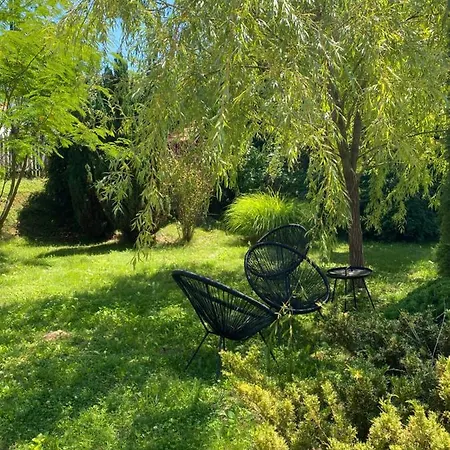 Hidden Gem In The Hills Of Somogy County
